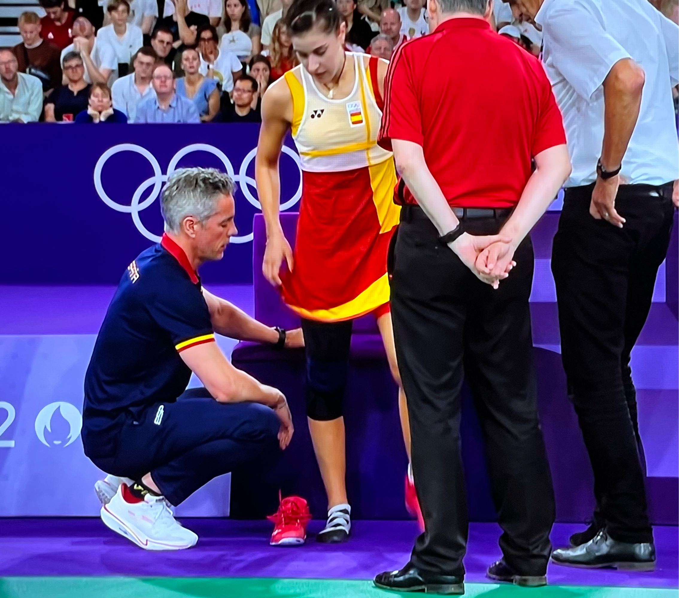 韩国羽毛球队翻盘法国羽毛球队，马琳绝境逆转的简单介绍