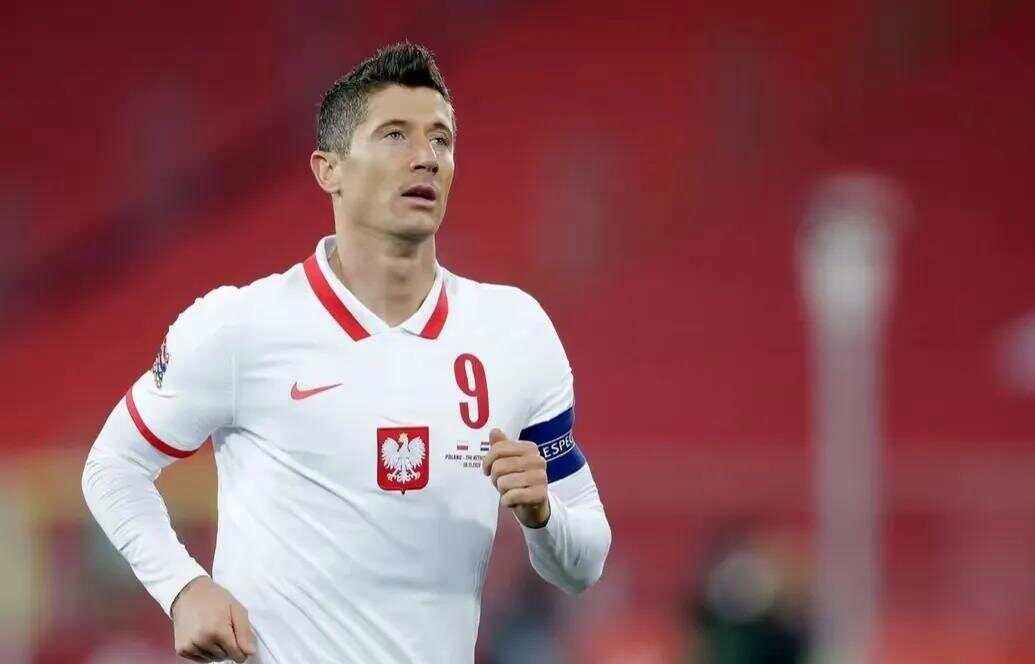 波兰队力克瑞典队，波尔高光表现的简单介绍