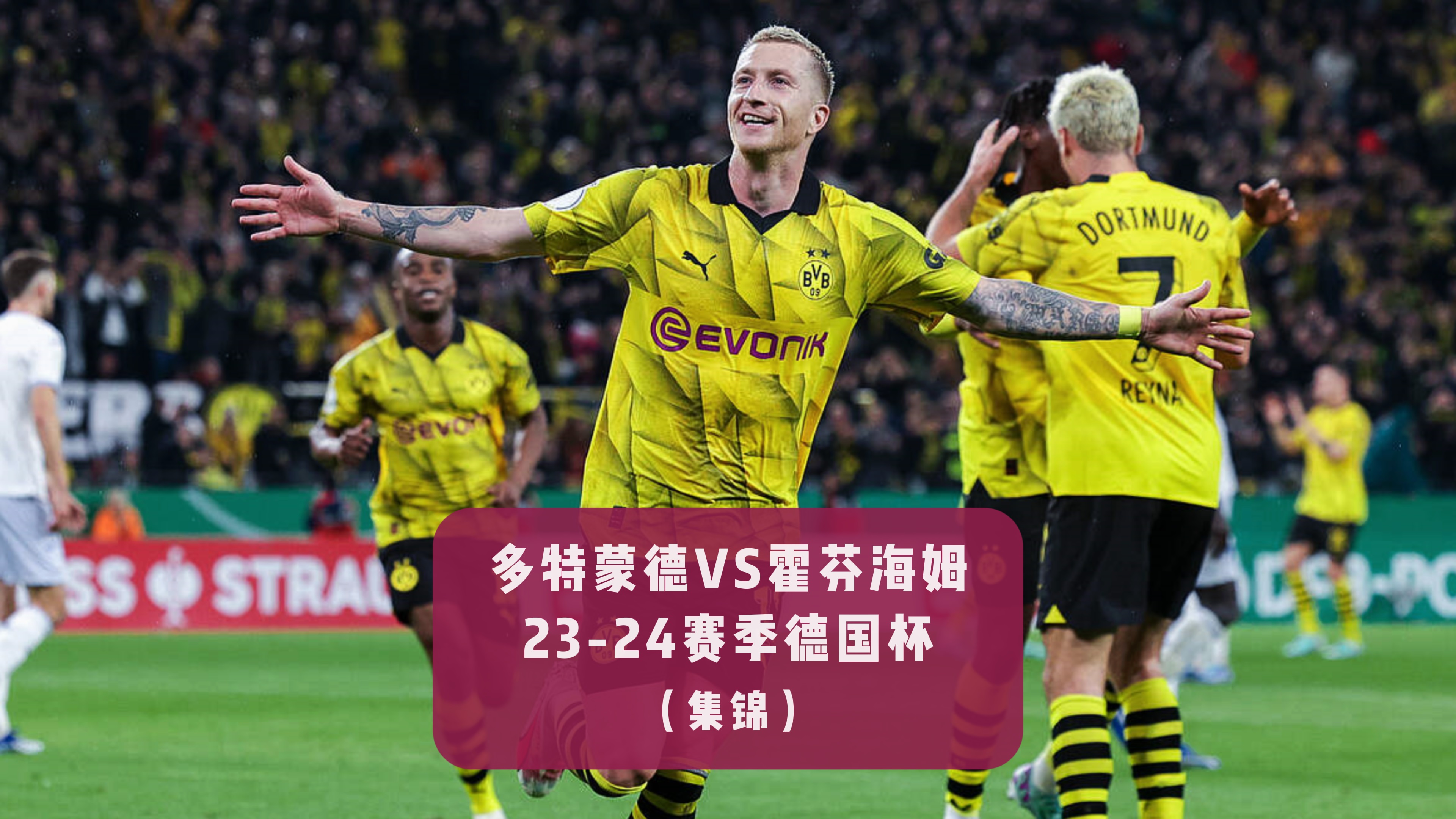 包含霍芬海姆队主场大比分战胜对手,取得一场胜利的词条 包含霍芬海姆队主场大比分战胜对手,取得一场胜利的词条