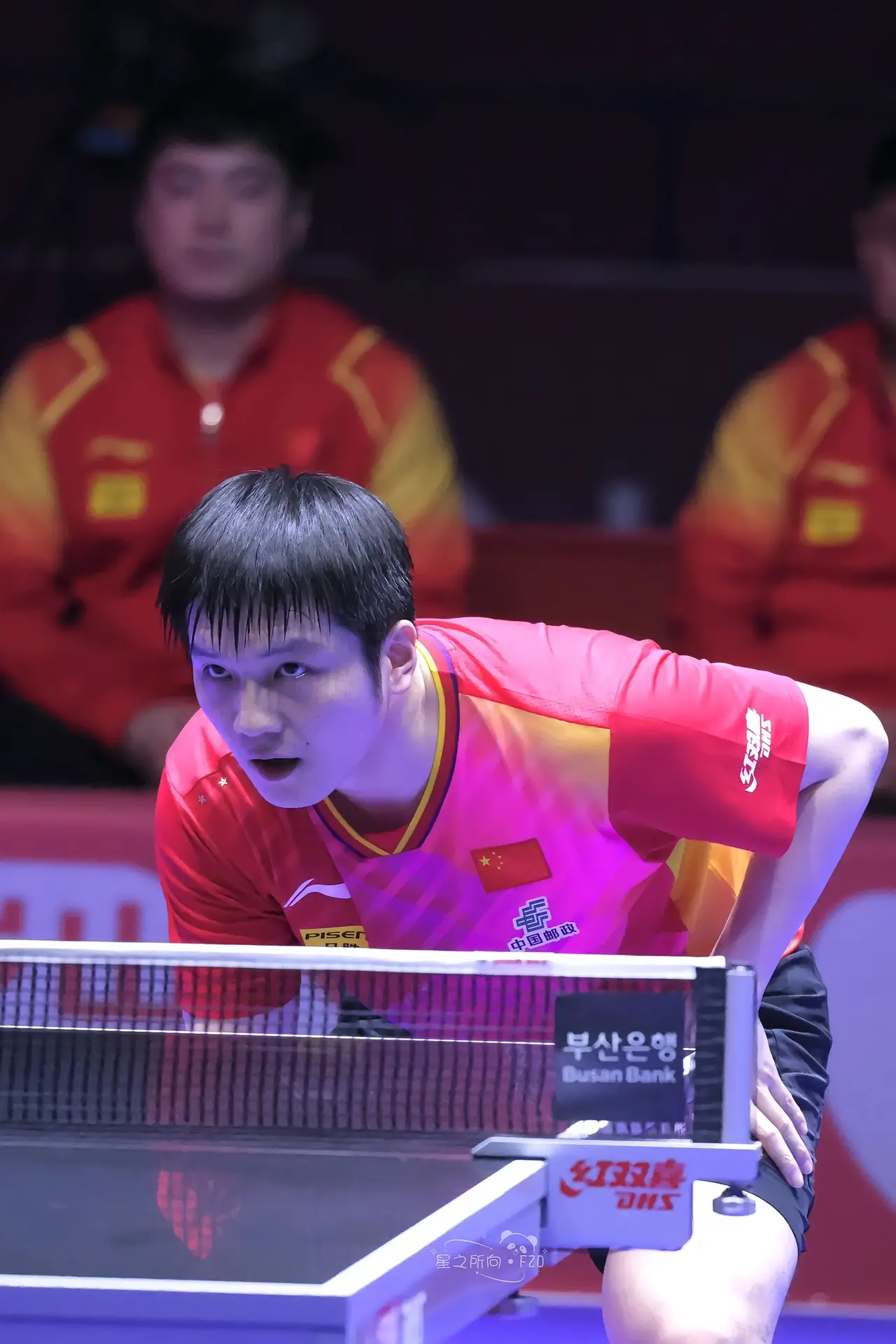 日本乒乓球队鏖战法国乒乓球队，张继科高光表现的简单介绍