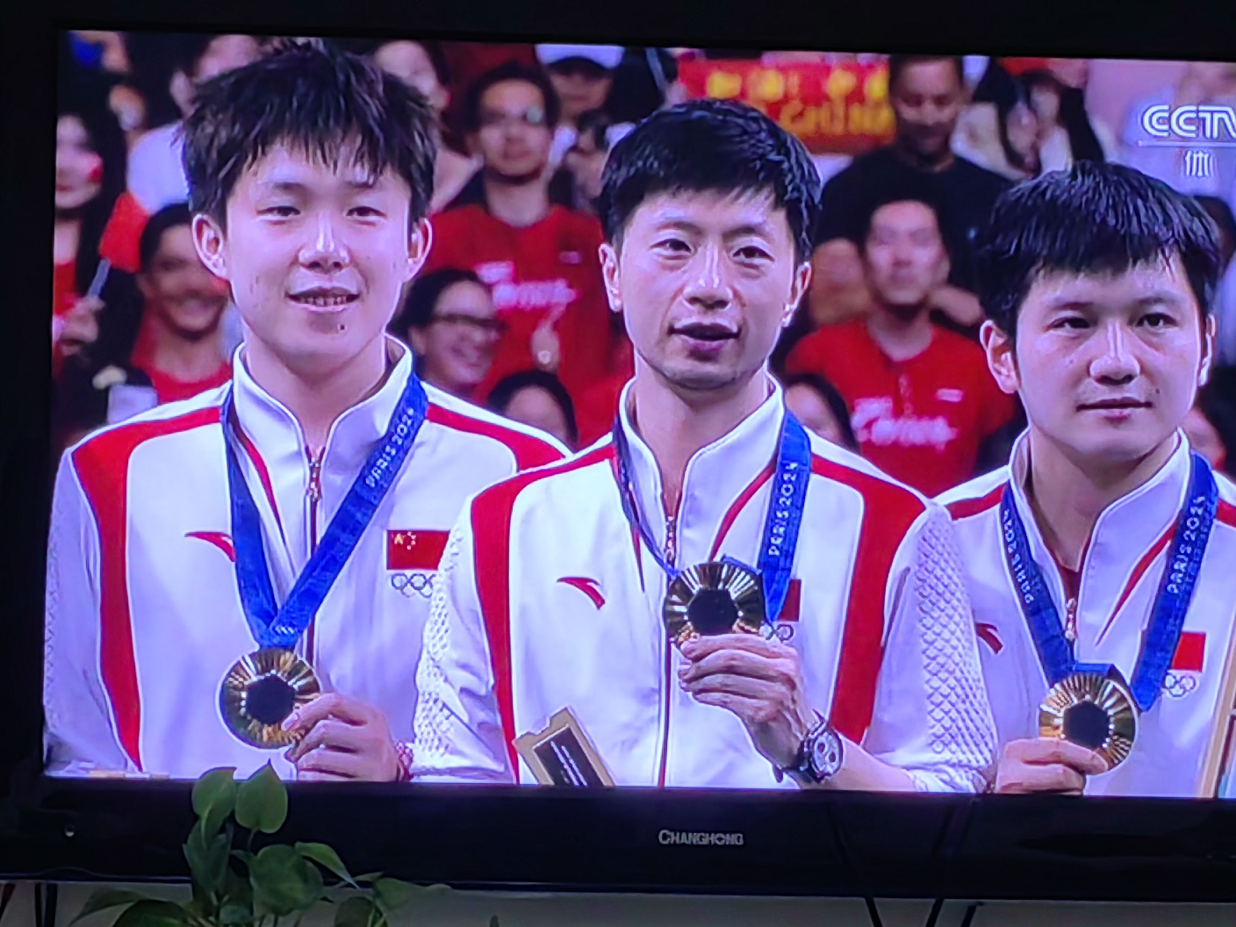 日本乒乓球队完胜中国乒乓球队，马龙统治全场的简单介绍