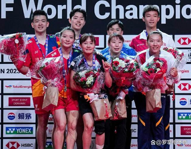 法国队绝杀丹麦队，郑思维关键制胜的简单介绍